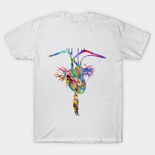 Heart anatomy T-Shirt